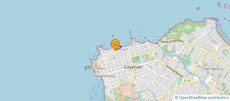 localisation de l'entreprise SUZINI  CAYENNE