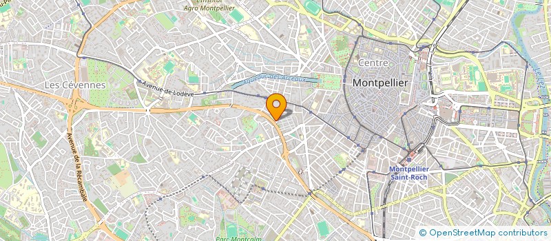 localisation de l'entreprise SV LYO-MON  MONTPELLIER