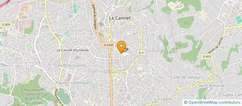 localisation de l'entreprise SVL SERVICES  LE CANNET