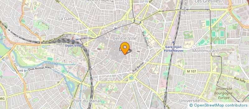 localisation de l'entreprise SWAGAT FRANCE  DIJON