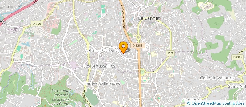 localisation de l'entreprise SWAN à LE CANNET