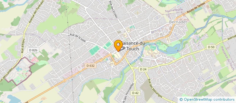 localisation de l'entreprise SWING & LATINO à PLAISANCE-DU-TOUCH