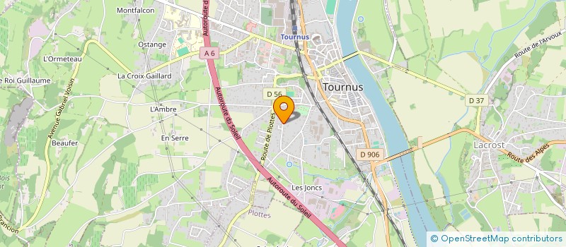 localisation de l'entreprise SWING MILLER SYSTEME 71  TOURNUS