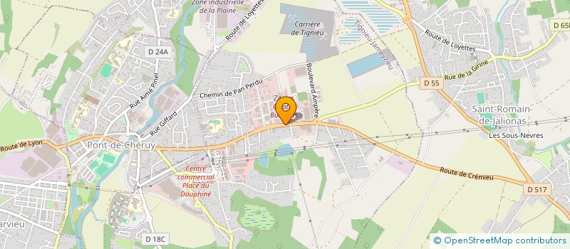 localisation de l'entreprise SWING REAL ESTATE  MEYZIEU