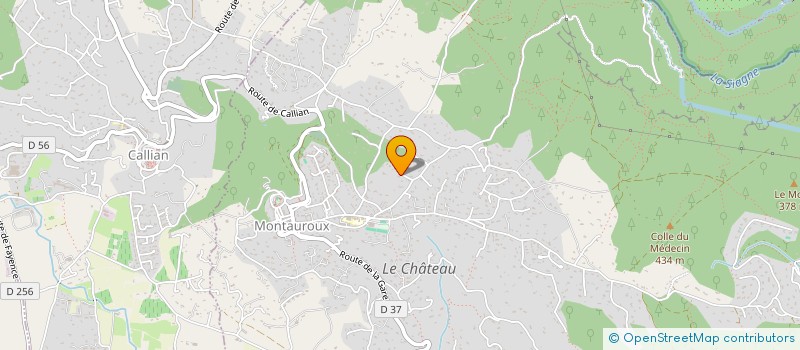 localisation de l'entreprise SYLBELLE  MONTAUROUX