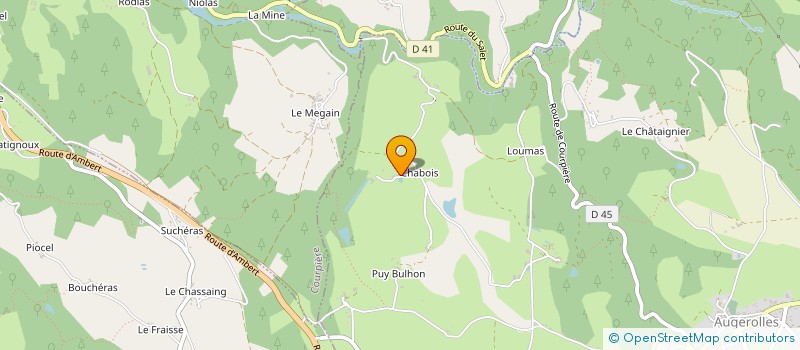 localisation de l'entreprise SYLBFRAN  LEZOUX