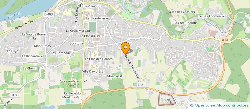 localisation de l'entreprise SYLLIUM  AMBOISE