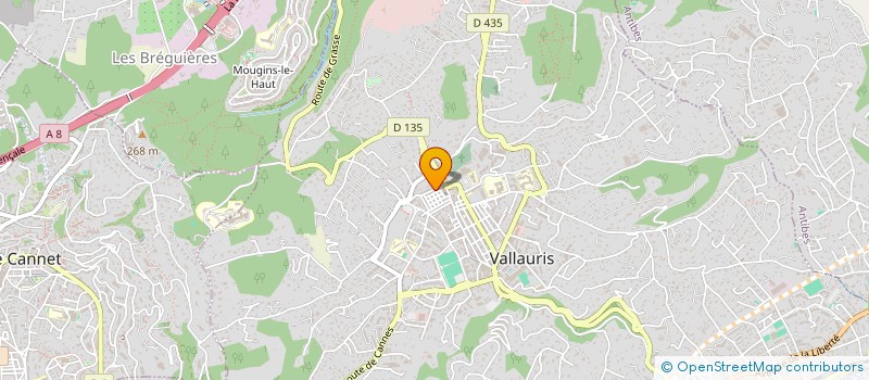 localisation de l'entreprise SYLY à VALLAURIS