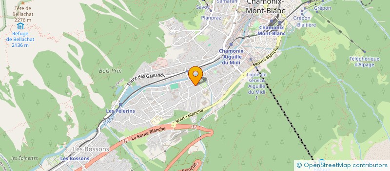 localisation de l'entreprise SYM INVEST  CHAMONIX-MONT-BLANC