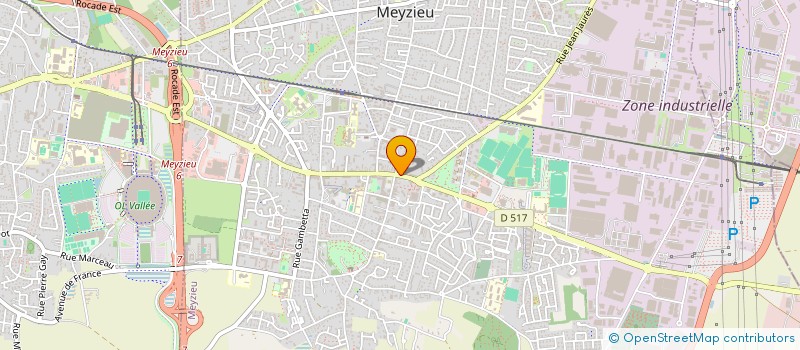 localisation de l'entreprise SYN CIDUNATI COIFFURE RHONE  MEYZIEU