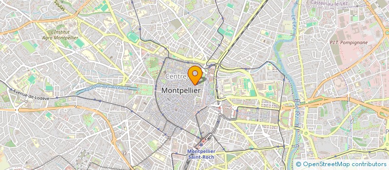 localisation de l'entreprise SYNAP SYSTEM à MONTPELLIER