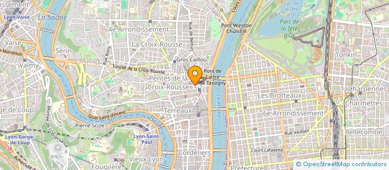 localisation de l'entreprise SYNAPSE à LYON