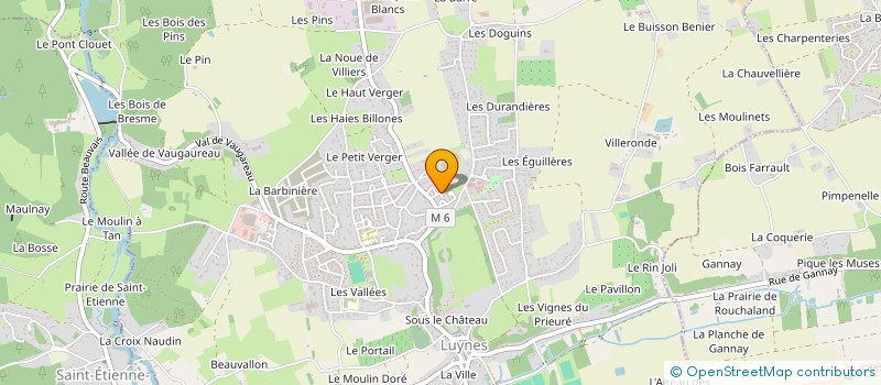 localisation de l'entreprise SYNAPSES SAUVAGES  LUYNES