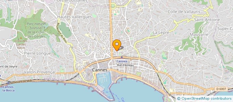 localisation de l'entreprise SYNCHROWAVES  CANNES