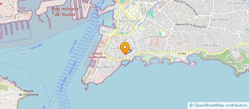 localisation de l'entreprise SYND 82 BD PELLETAN  TOULON