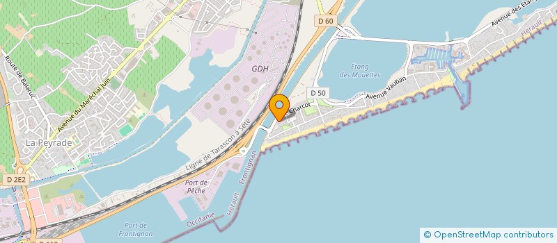 localisation de l'entreprise SYND COP LES BERGES DU MIDI  FRONTIGNAN