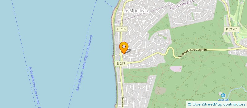 localisation de l'entreprise SYND COPR RES LE PETIT BUCH  LA TESTE DE BUCH