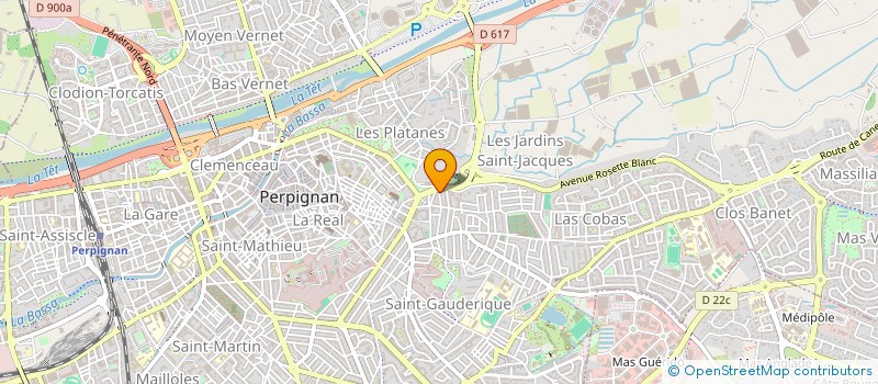 localisation de l'entreprise SYND COPRO 2 AV ROSETTE BLANC ET 4  PERPIGNAN