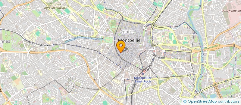 localisation de l'entreprise SYND COPRO 4 R ROUCHER à MONTPELLIER
