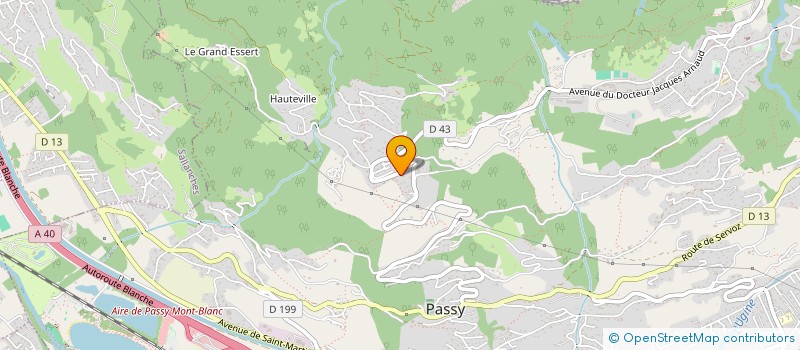 localisation de l'entreprise SYND COPRO CHAMOIS D'OR  PASSY