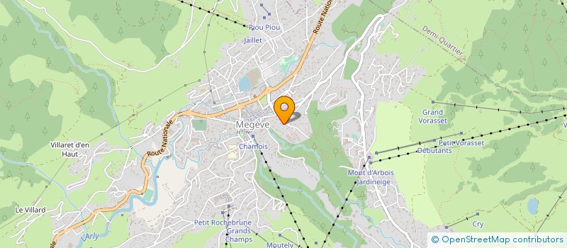 localisation de l'entreprise SYND COPRO LE CHAMOIS D'OR  MEGEVE