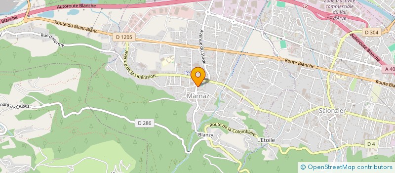 localisation de l'entreprise SYND COPRO LE LOISIN  MARNAZ