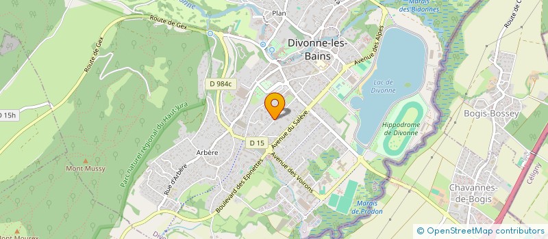 localisation de l'entreprise SYND COPRO LE RICHELIEU à DIVONNE-LES-BAINS