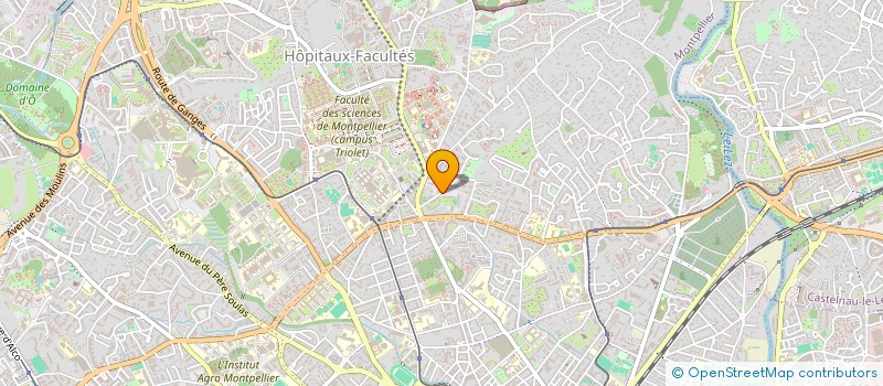 localisation de l'entreprise SYND COPRO LE ROCAMAR à MONTPELLIER