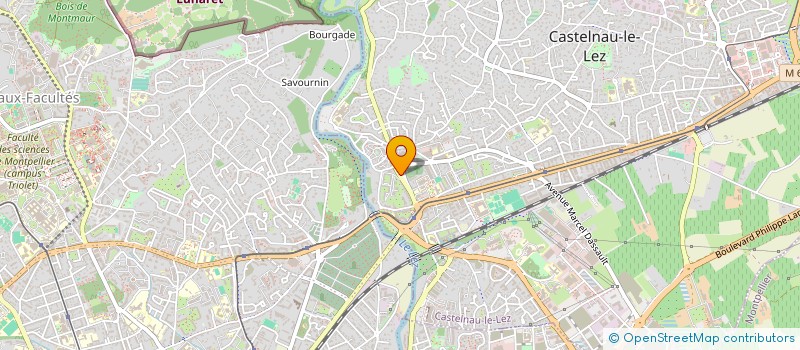 localisation de l'entreprise SYND COPRO LE VERGER à CASTELNAU-LE-LEZ