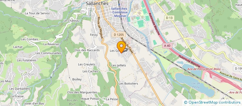 localisation de l'entreprise SYND COPRO LES CIMES BLANCHES  SALLANCHES