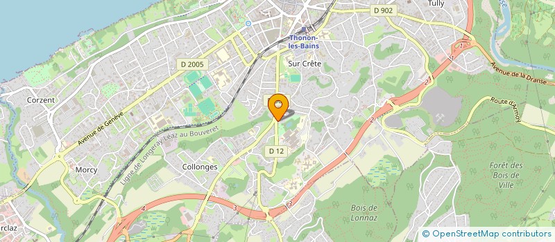 localisation de l'entreprise SYND COPRO LES PRUNUS à THONON-LES-BAINS
