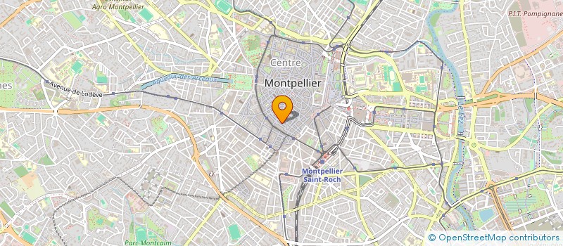 localisation de l'entreprise SYND COPROP DE L'IMMEUBLE 42 RUE ROUCHER à MONTPELLIER