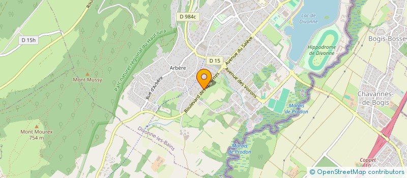 localisation de l'entreprise SYND COPROP IMMEUBLE LES EPINETTES à DIVONNE-LES-BAINS