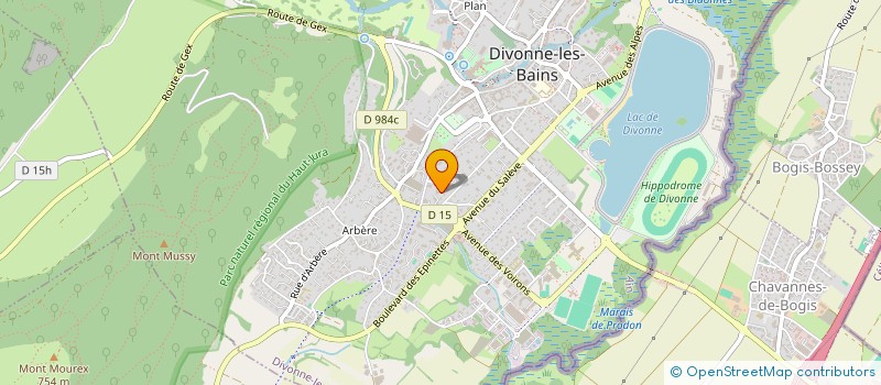 localisation de l'entreprise SYND COPROP LE CAPRICORNE à DIVONNE-LES-BAINS