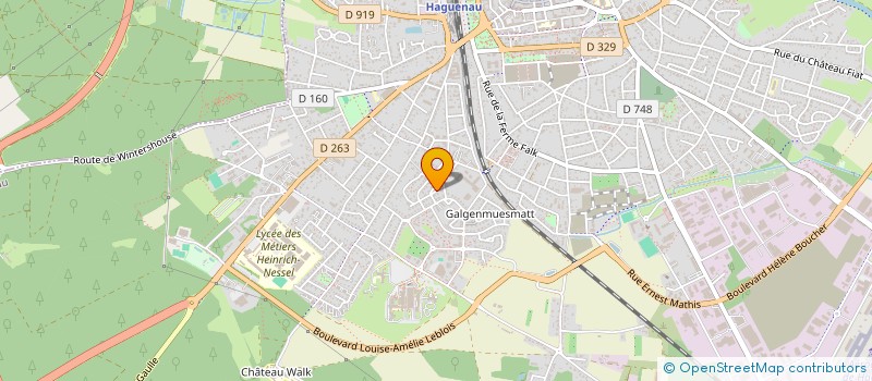 localisation de l'entreprise SYND COPROP LES OEILLETS  HAGUENAU