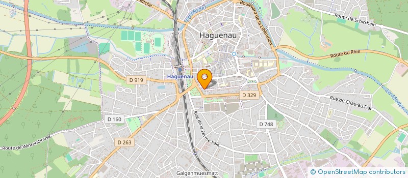 localisation de l'entreprise SYND COPROP LES TILLEULS DE HANAUER  HAGUENAU