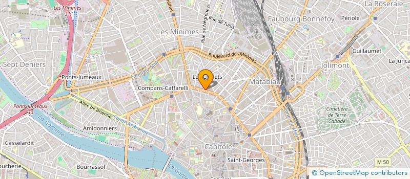 localisation de l'entreprise SYND COPROP RES 24 BD ARCOLE à TOULOUSE