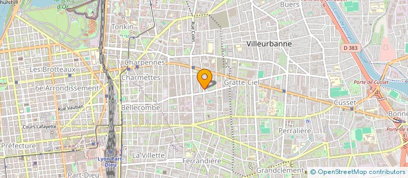 localisation de l'entreprise SYND COPROPRIET 2 EME AVENUE à VILLEURBANNE