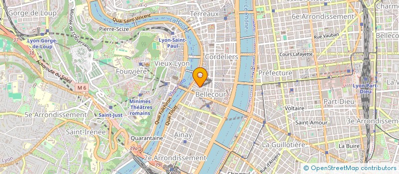 localisation de l'entreprise SYND COPROPRIET 9 PLACE DES CELESTINS  LYON