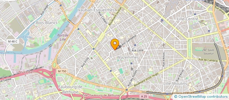 localisation de l'entreprise SYND COPROPRIETAIRE RES LYDERIC GAMBETTA à LILLE