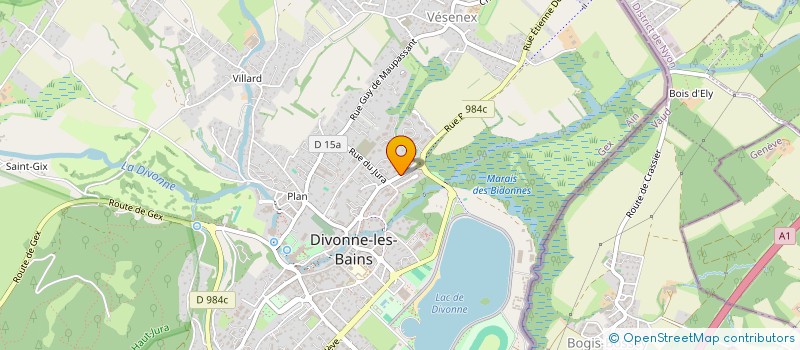 localisation de l'entreprise SYND COPROPRIETAIRES IMMOBILIER LA SAFA à DIVONNE-LES-BAINS