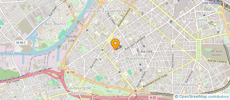 localisation de l'entreprise SYND COPROPRIETAIRES RES CLOS GAMBETTA à LILLE
