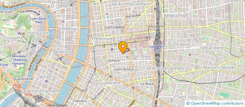 localisation de l'entreprise SYND.COPROPRIETE 110 RUE CHAPONNAY  LYON