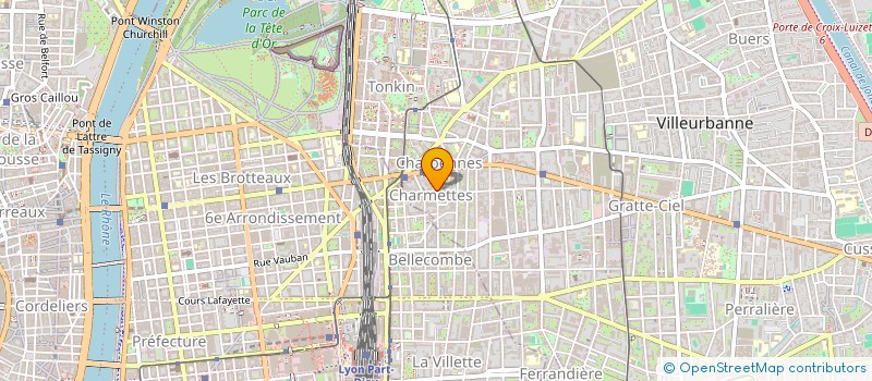 localisation de l'entreprise SYND COPROPRIETE 12 T RUE D'INKERMANN  VILLEURBANNE