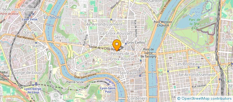 localisation de l'entreprise SYND COPROPRIETE 15 RUE DE L'ALMA à LYON