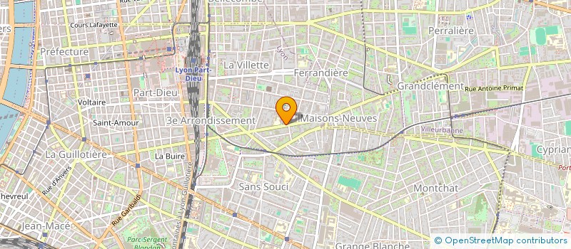 localisation de l'entreprise SYND COPROPRIETE 193 AV FELIX FAURE  LYON