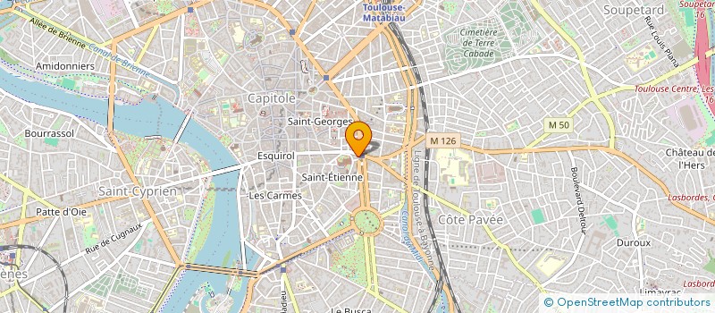localisation de l'entreprise SYND COPROPRIETE 29 ALL FRANCOIS VERDIER à TOULOUSE