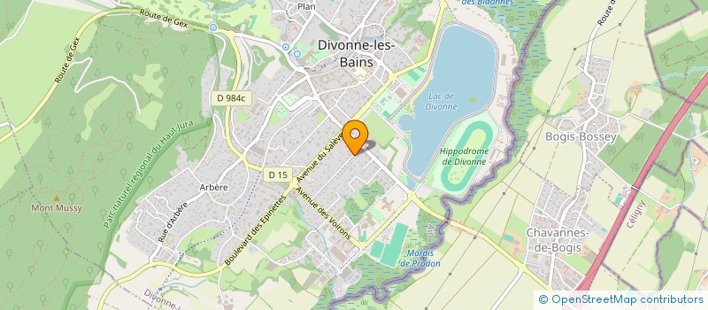 localisation de l'entreprise SYND COPROPRIETE CHAMPAGNE PARC à DIVONNE-LES-BAINS