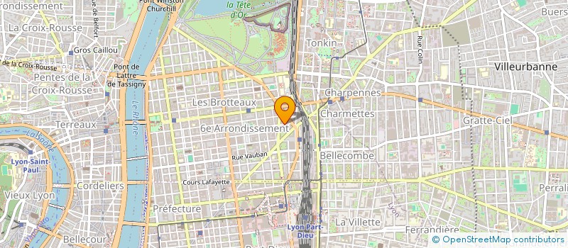 localisation de l'entreprise SYND COPROPRIETE DU 115 RUE BOSSUET  LYON