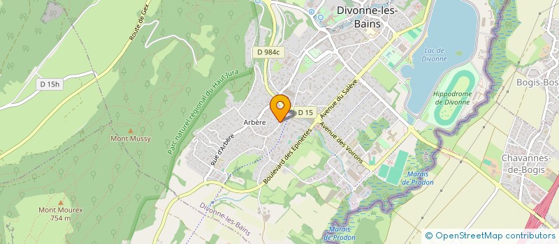 localisation de l'entreprise SYND COPROPRIETE L'EMERAUDE à DIVONNE-LES-BAINS
